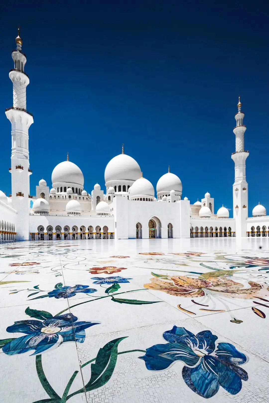 _阿布扎比知乎_阿布扎比攻略