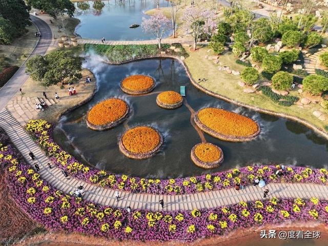 南宁哪里有菊花_广西南宁青秀山菊花展_