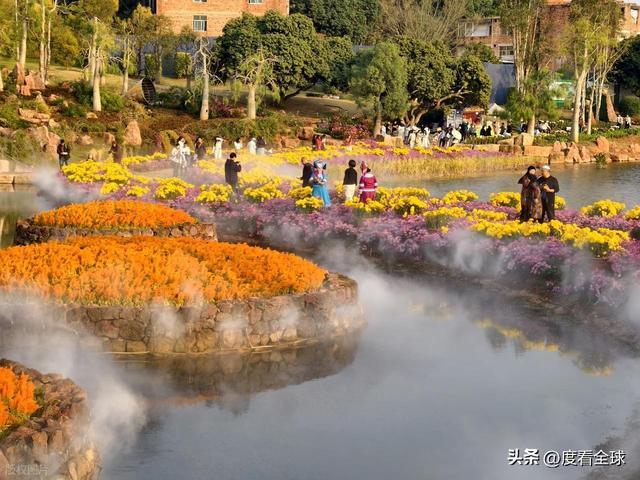 _南宁哪里有菊花_广西南宁青秀山菊花展