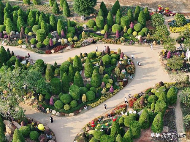 南宁哪里有菊花_广西南宁青秀山菊花展_