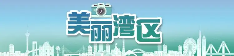 葉山友香美女鬼_白云香风景树_