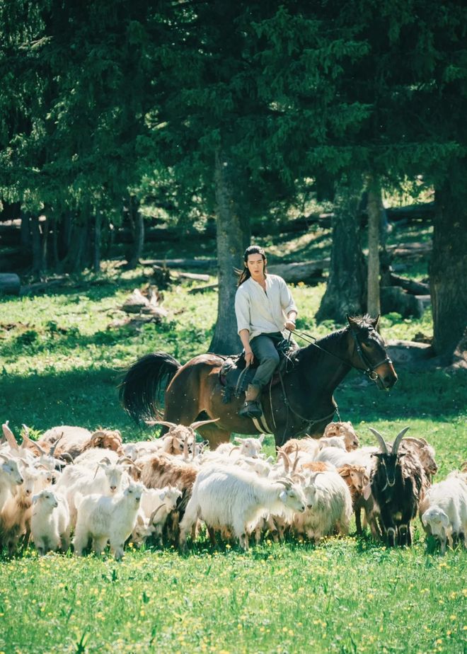 瓜皮赵一博哪里人_瓜皮赵一博_
