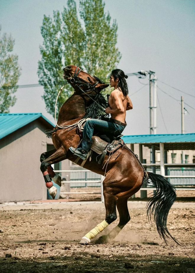 瓜皮赵一博哪里人_瓜皮赵一博_