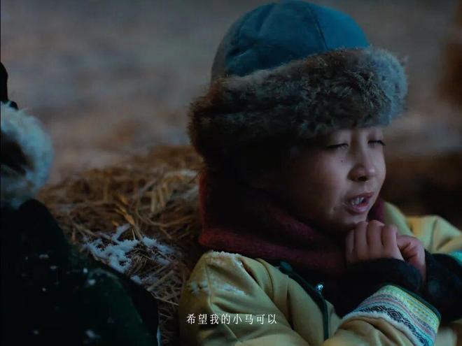 瓜皮赵一博__瓜皮赵一博哪里人