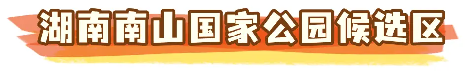 从这里，重新认识南山国家公园！央视《远方的家》山重水复，秘境逢生！