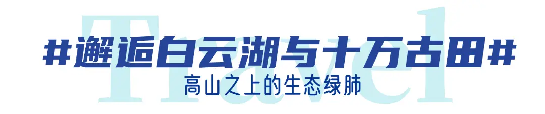 从这里，重新认识南山国家公园！央视《远方的家》山重水复，秘境逢生！_从这里，重新认识南山国家公园！央视《远方的家》山重水复，秘境逢生！_