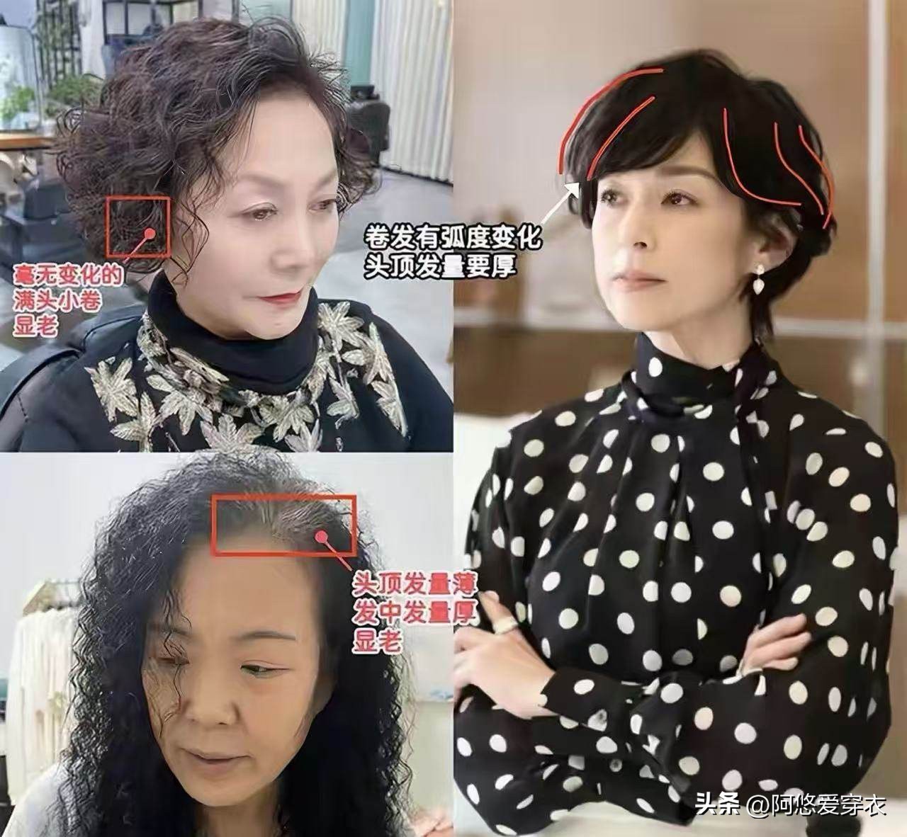 全头烫可以丸子头_摩根烫是烫全头吗_