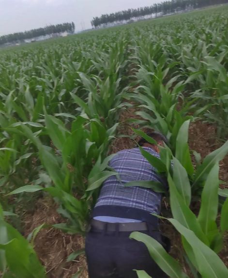 91年我爱上隔壁村花，表白后她笑了：答应你可以，但我有个条件