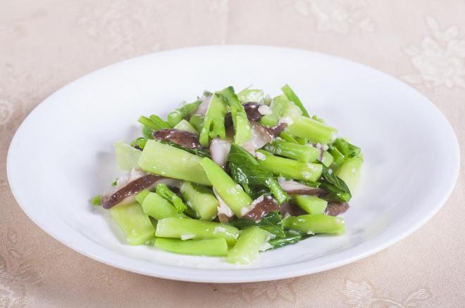 _同龄人衰老对比_同龄衰老对比照