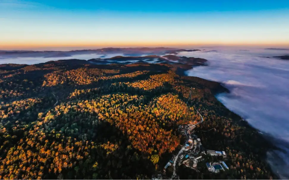 古道马帮普洱茶_普洱茶马古道的故事历史_