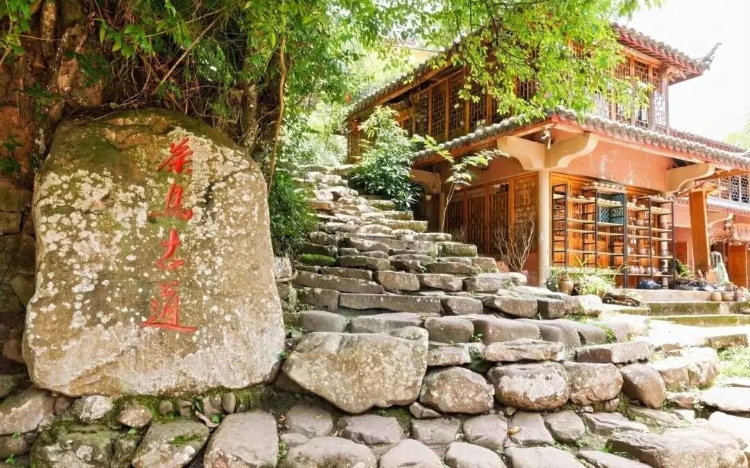 古道马帮普洱茶__普洱茶马古道的故事历史