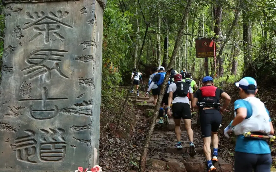 _普洱茶马古道的故事历史_古道马帮普洱茶