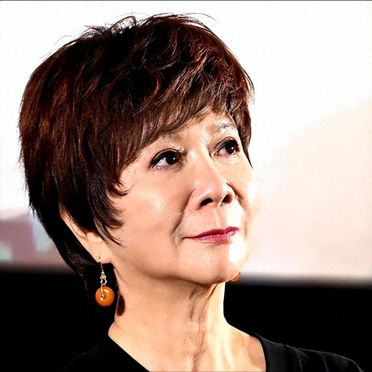 蔡明亮相央视春晚彩排不到2天，恶心的一幕发生，潘长江受牵连