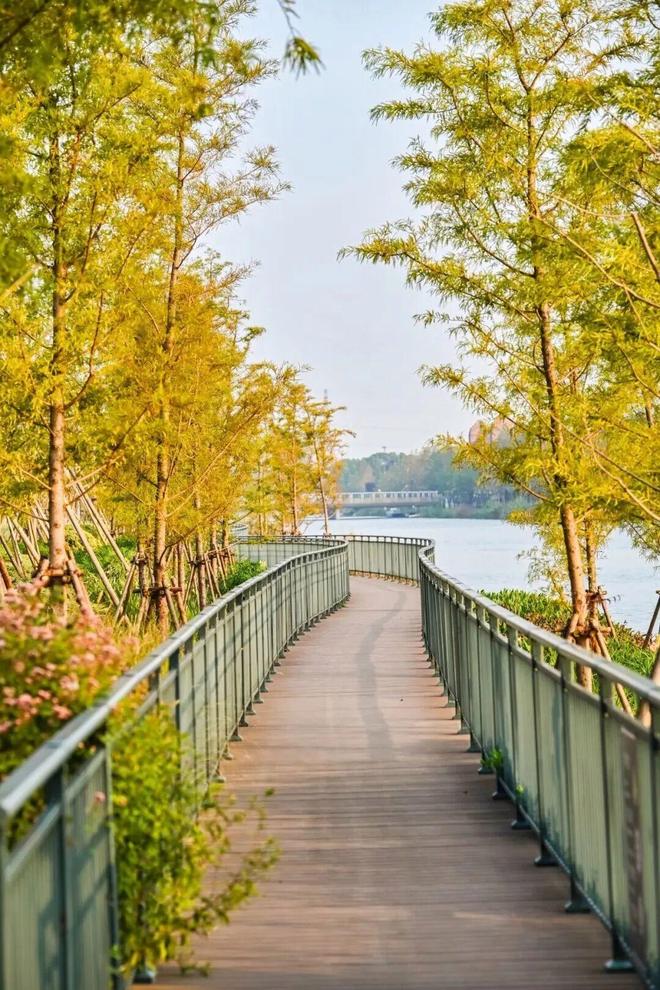 上海适合周年纪念的餐厅__上海周边适合年会的度假区