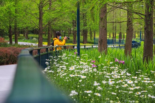 _上海适合周年纪念的餐厅_上海周边适合年会的度假区