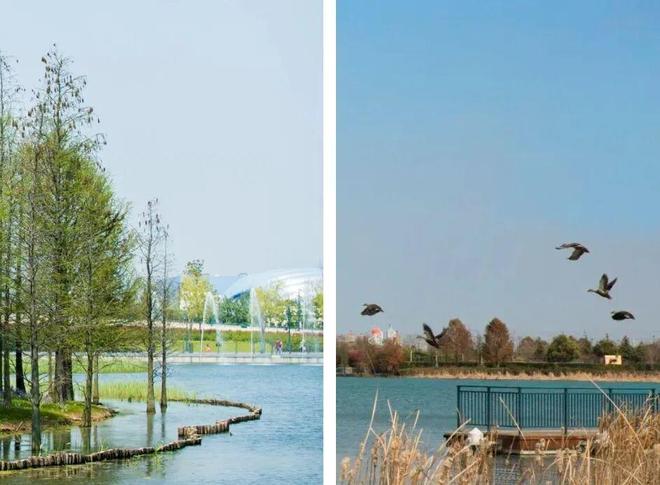 _上海适合周年纪念的餐厅_上海周边适合年会的度假区