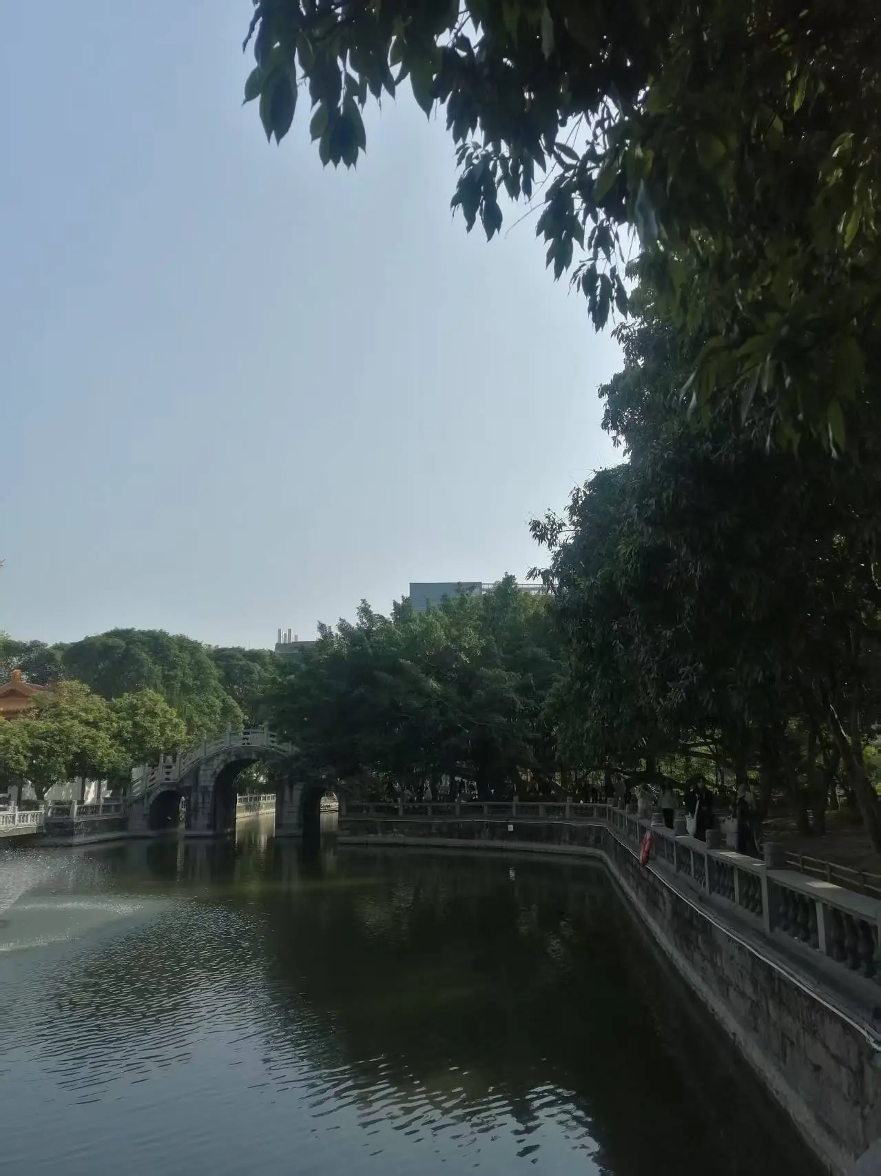 妖怪公寓顾白肉车__菲凡家庭