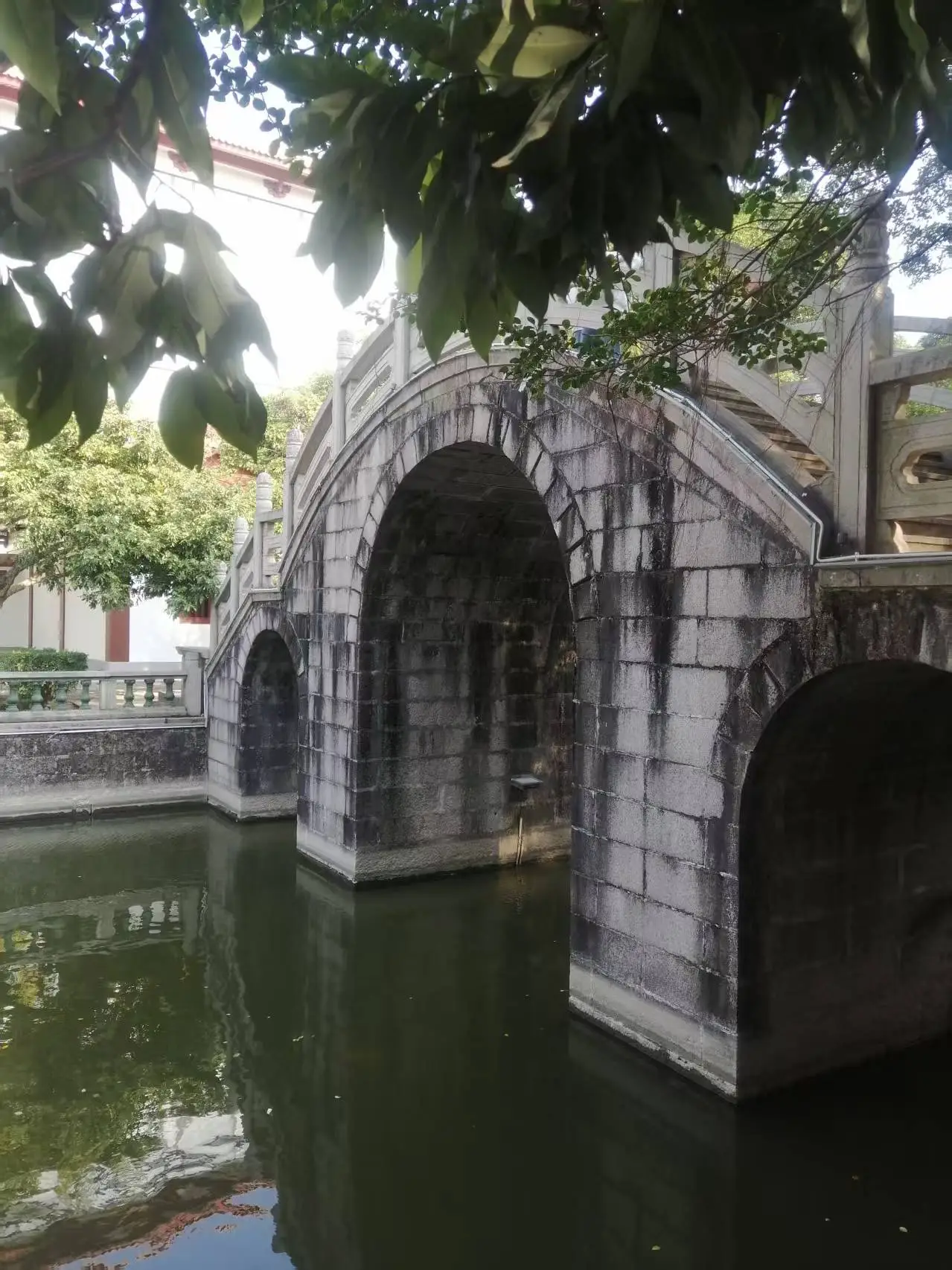 菲凡家庭__妖怪公寓顾白肉车