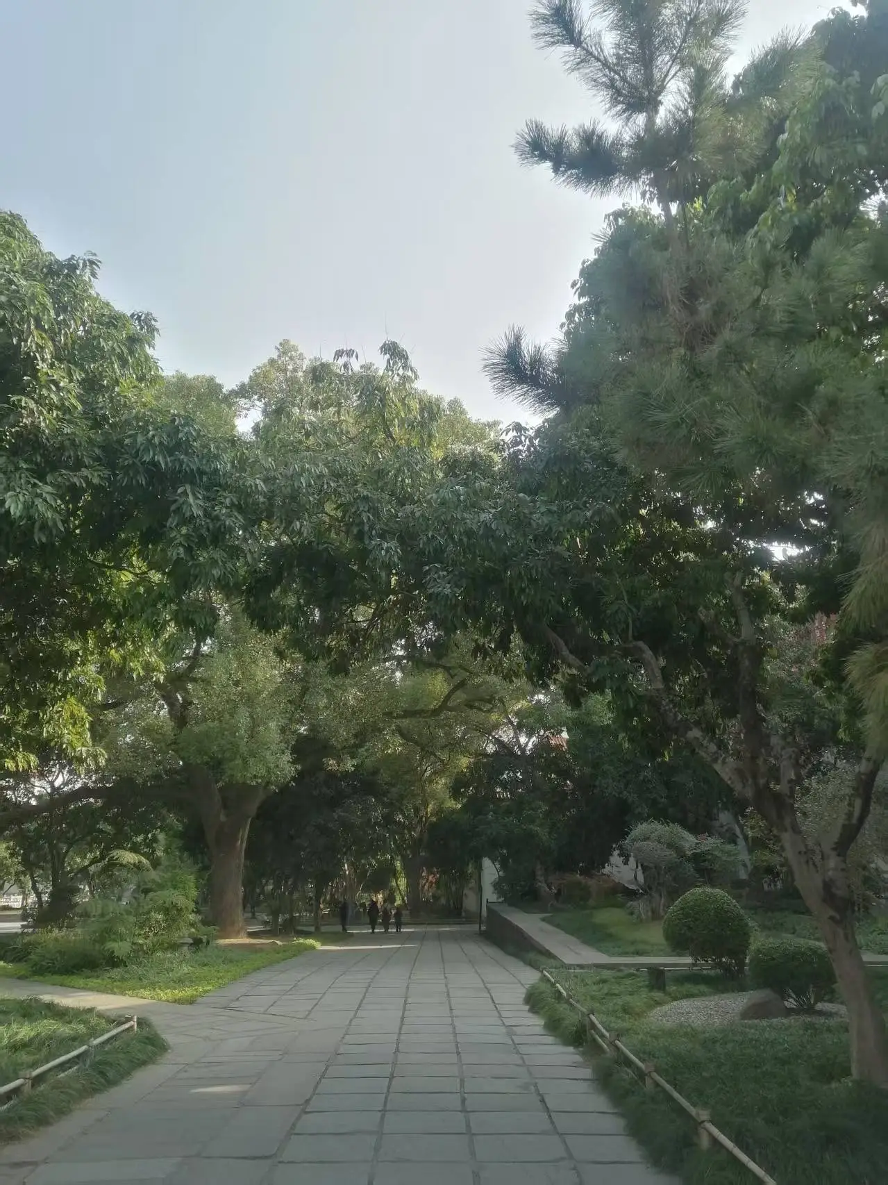 菲凡家庭__妖怪公寓顾白肉车