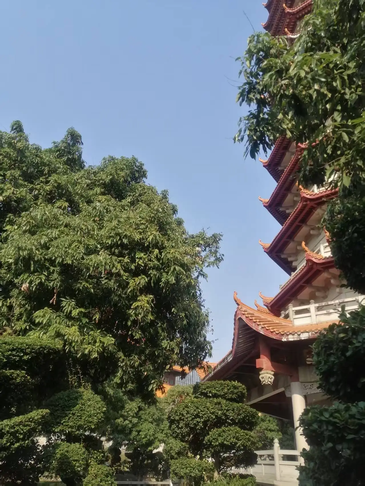 菲凡家庭_妖怪公寓顾白肉车_