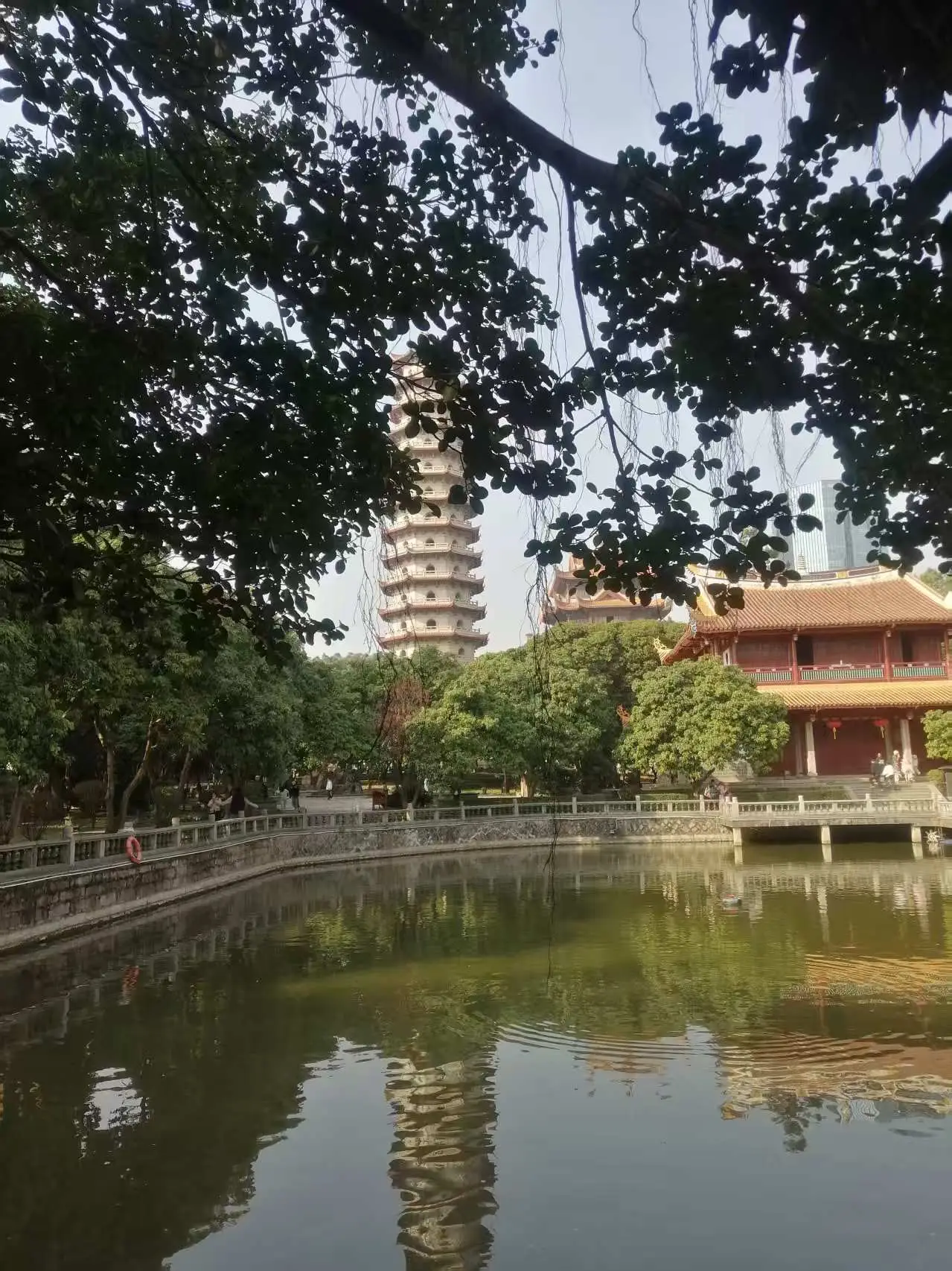 妖怪公寓顾白肉车_菲凡家庭_