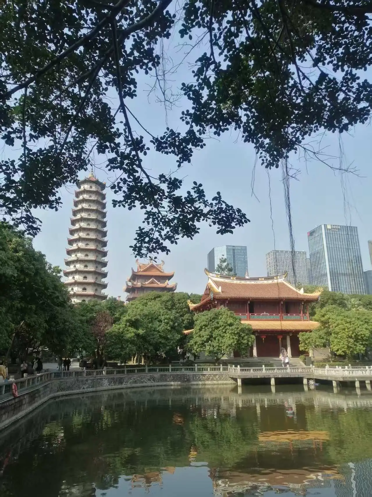 菲凡家庭__妖怪公寓顾白肉车