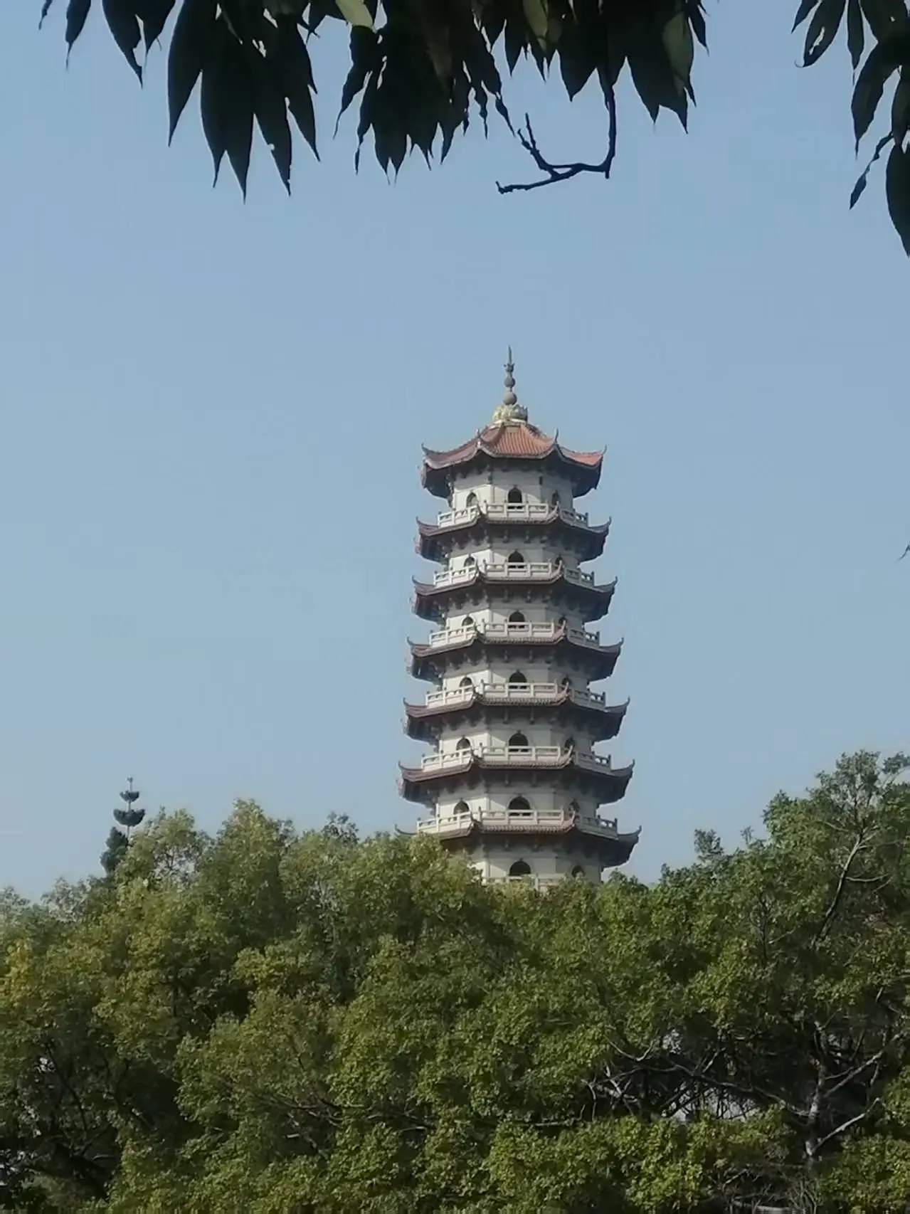 菲凡家庭_妖怪公寓顾白肉车_