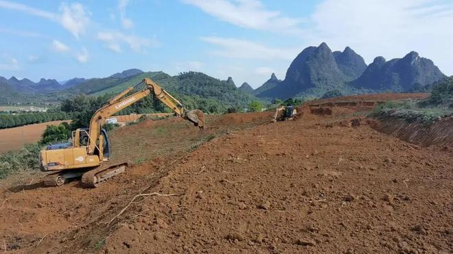 _全世界就中国有！曾被老百姓当柴烧，2023年洞庭湖又发现两三百棵_全世界就中国有！曾被老百姓当柴烧，2023年洞庭湖又发现两三百棵