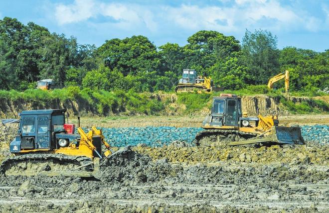 _全世界就中国有！曾被老百姓当柴烧，2023年洞庭湖又发现两三百棵_全世界就中国有！曾被老百姓当柴烧，2023年洞庭湖又发现两三百棵