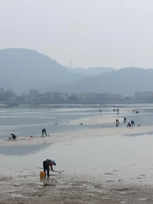崖下求生/碧海逃生__上海的海奉贤碧海金沙海滩