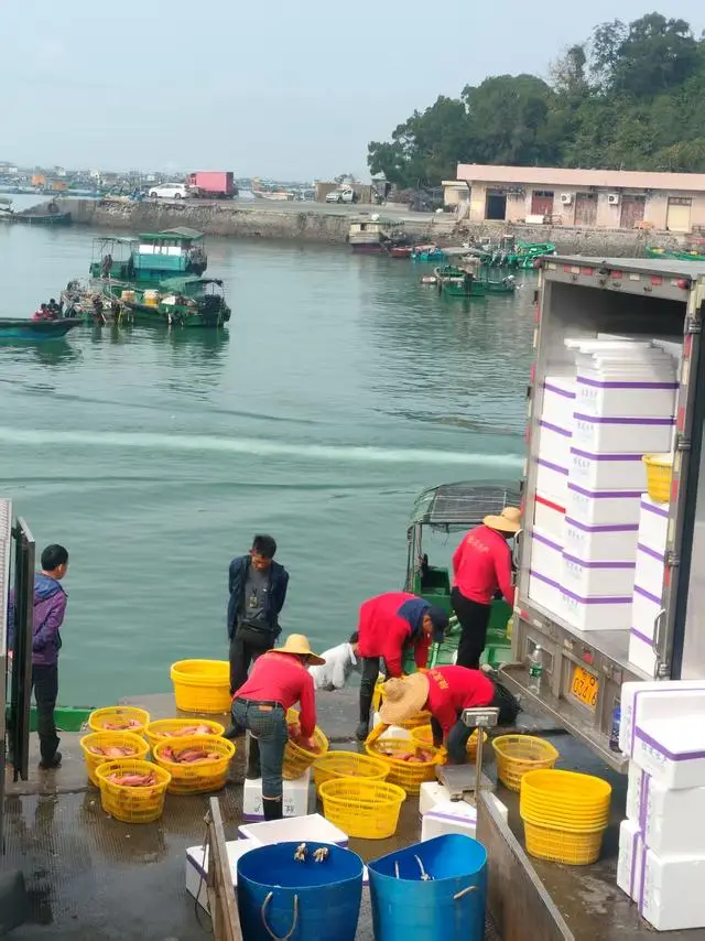 上海的海奉贤碧海金沙海滩_崖下求生/碧海逃生_