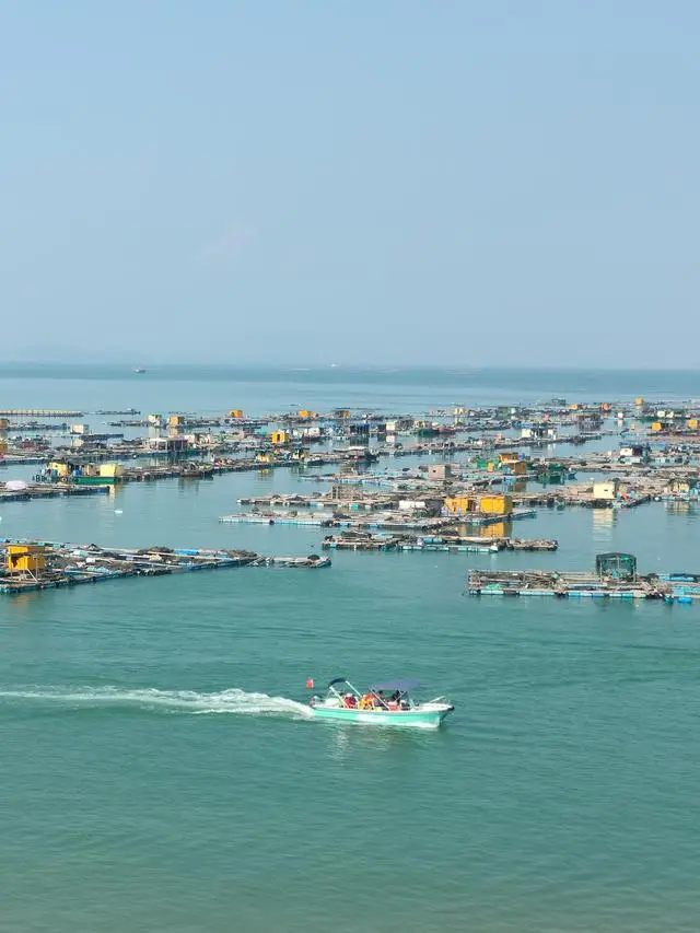 上海的海奉贤碧海金沙海滩_崖下求生/碧海逃生_