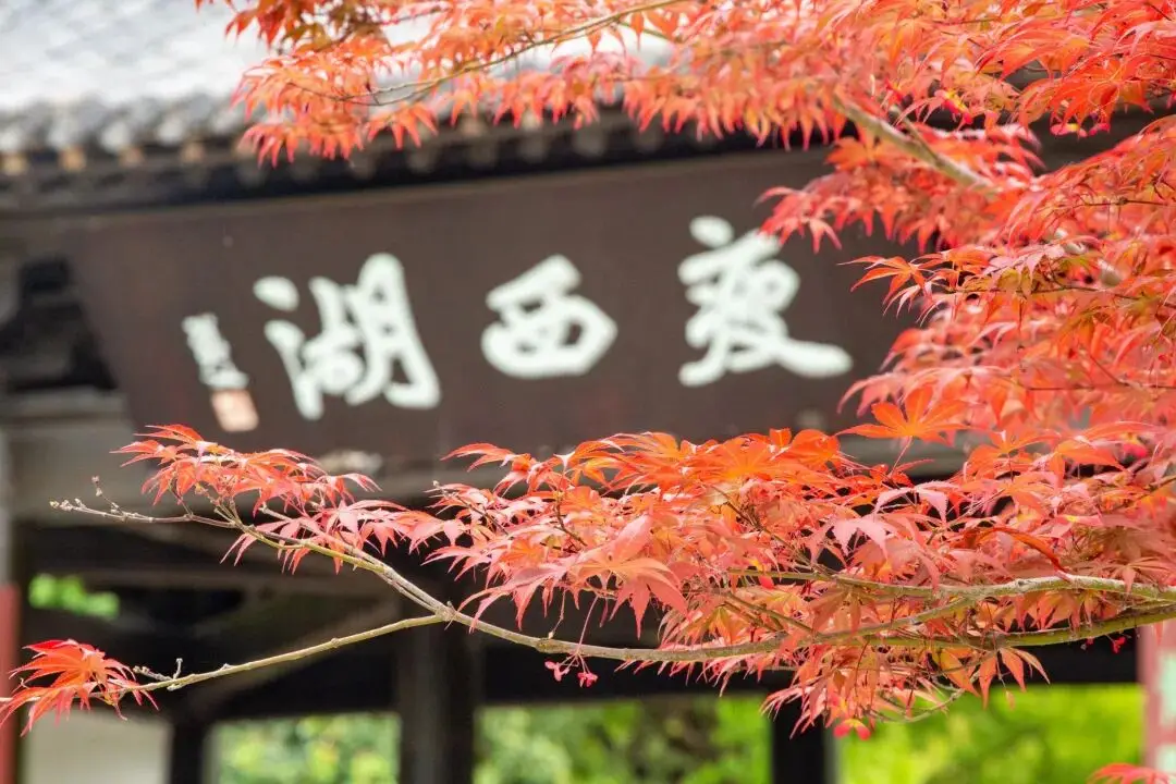 扬州暖山别墅值得买吗__扬州暖山业主论坛