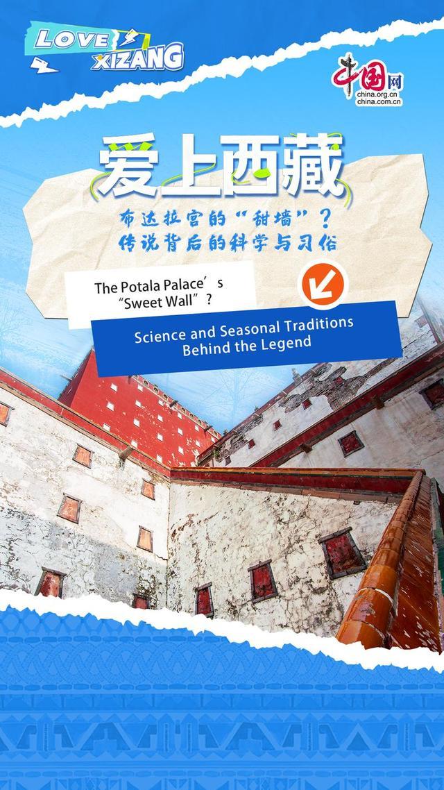 浪漫传说弗爱甜文__关于布达拉宫的传说