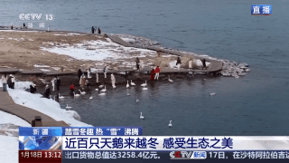 景观上新还附赠出片技巧 冬日限定版赛里木湖邀你打卡__景观上新还附赠出片技巧 冬日限定版赛里木湖邀你打卡