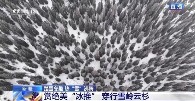 景观上新还附赠出片技巧 冬日限定版赛里木湖邀你打卡_景观上新还附赠出片技巧 冬日限定版赛里木湖邀你打卡_