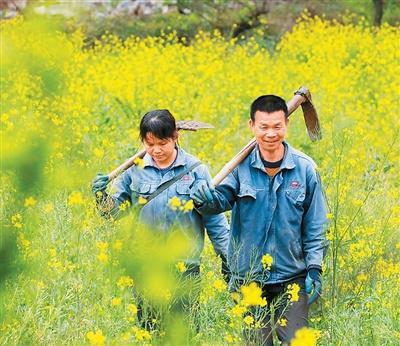 李花不负“守屯人”_李花不负“守屯人”_