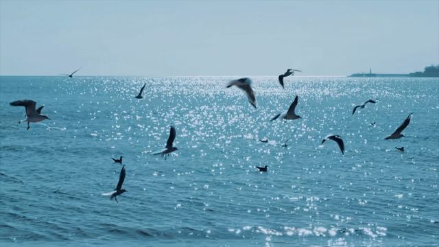 _看风景的窗户电影_央视风景宣传片