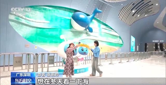 _视频丨小桥流水、梅花初绽、海天一色 被地铁口的景色美到了_视频丨小桥流水、梅花初绽、海天一色 被地铁口的景色美到了