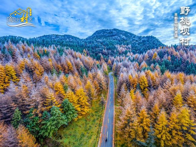 渝见好“村”光｜丰都县野桃坝村：藏在武陵深处的秘境仙山