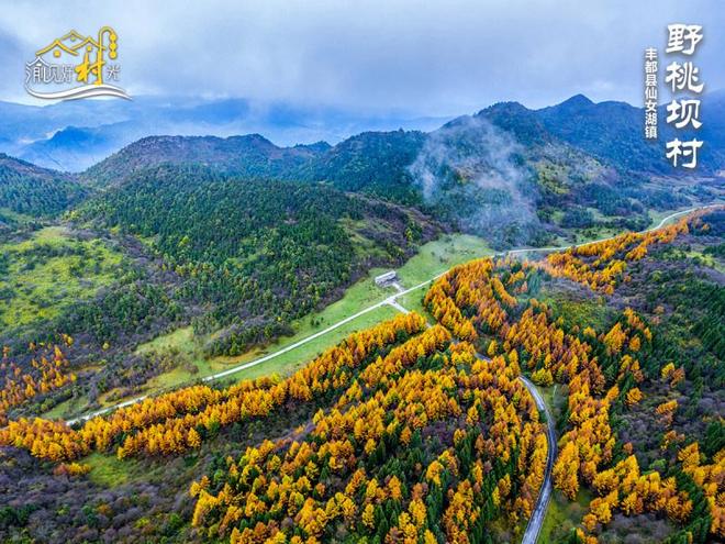 渝见好“村”光｜丰都县野桃坝村：藏在武陵深处的秘境仙山__渝见好“村”光｜丰都县野桃坝村：藏在武陵深处的秘境仙山