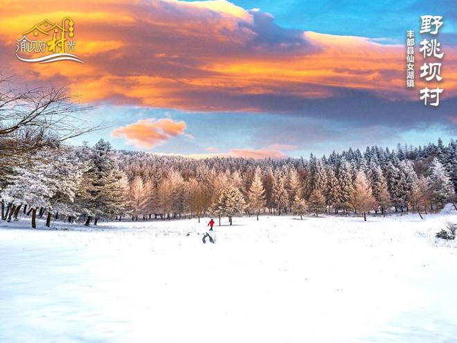 渝见好“村”光｜丰都县野桃坝村：藏在武陵深处的秘境仙山_渝见好“村”光｜丰都县野桃坝村：藏在武陵深处的秘境仙山_