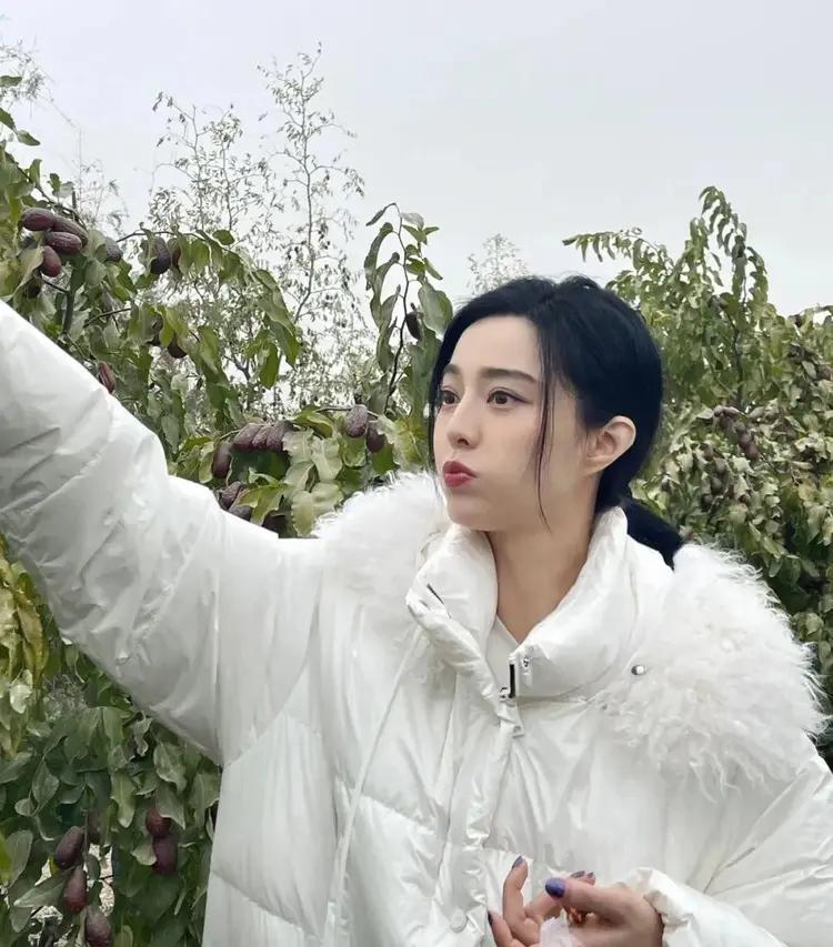 _范冰冰村姑造型_范冰冰演的农村剧