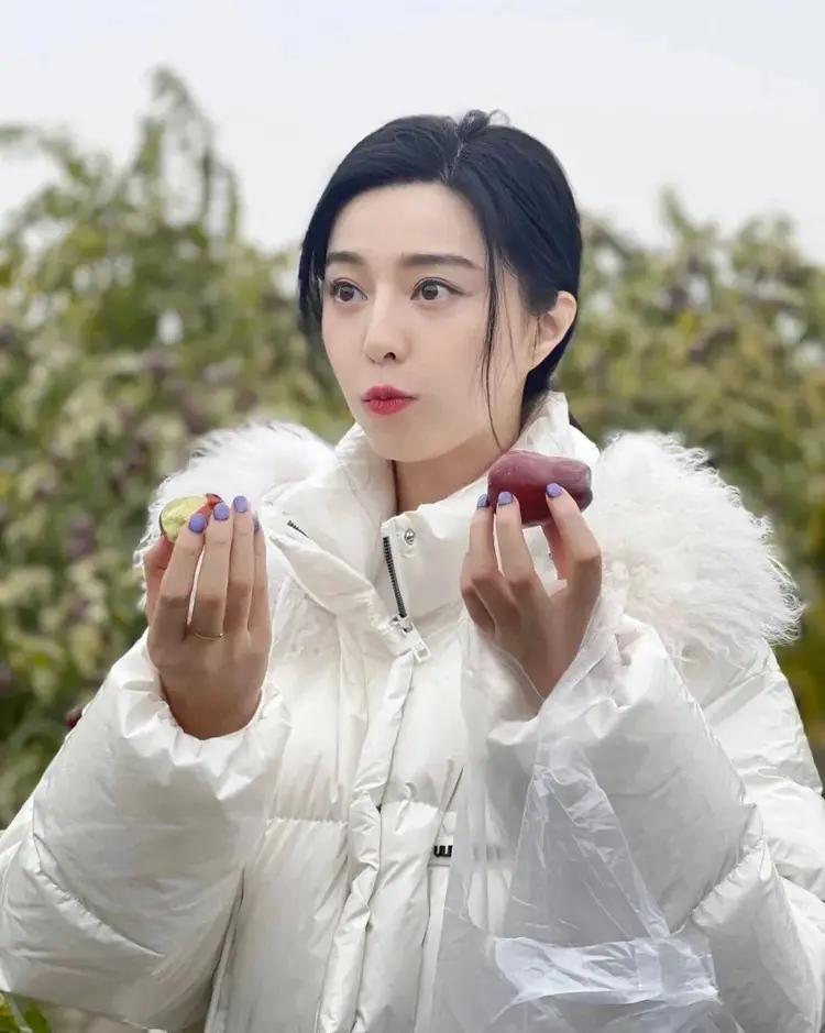 _范冰冰演的农村剧_范冰冰村姑造型