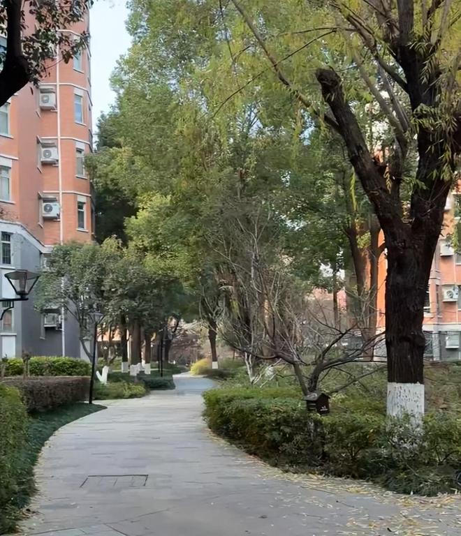 买房买旧房子划算吗_买房该买新房还是旧房_