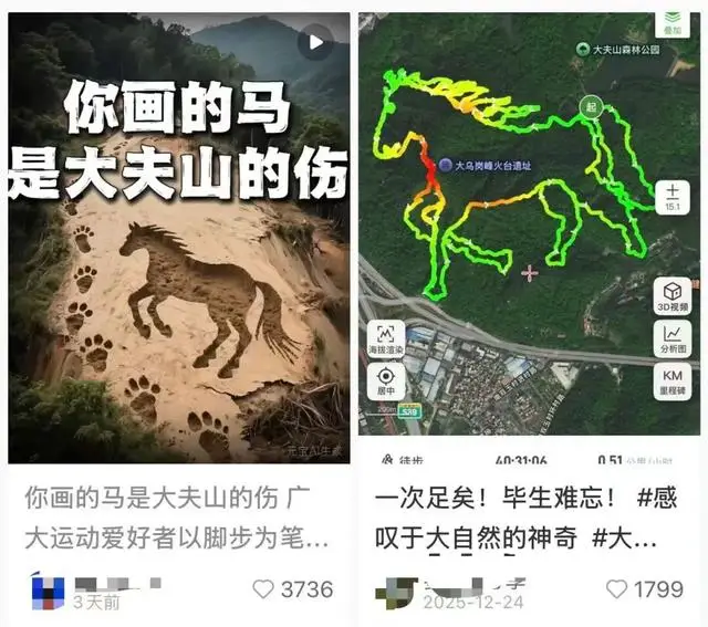 _出手后打手算犯规吗_2021年的马到成功怎么画