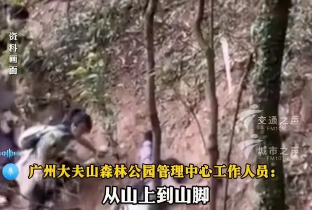 _出手后打手算犯规吗_2021年的马到成功怎么画