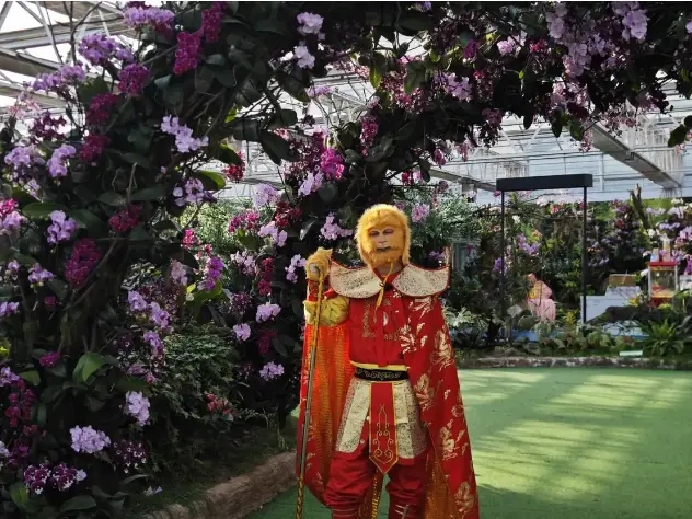 踏花行花卉论坛家庭园艺__植彩坊家庭智能园艺