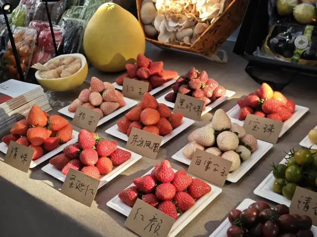 踏花行花卉论坛家庭园艺__植彩坊家庭智能园艺