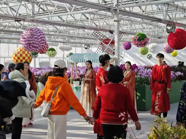 植彩坊家庭智能园艺_踏花行花卉论坛家庭园艺_